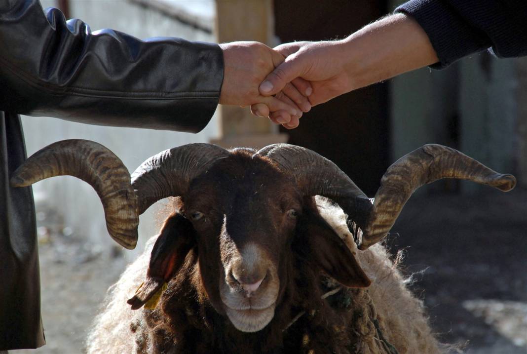 Kurban ibadetiyle ilgili doğru bilinen yanlışlar 19